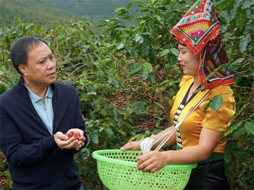 Giá cà phê Việt Nam tăng lên mức cao nhất thế giới, Chủ tịch Phúc Sinh cảnh báo cơn ác mộng đã tới